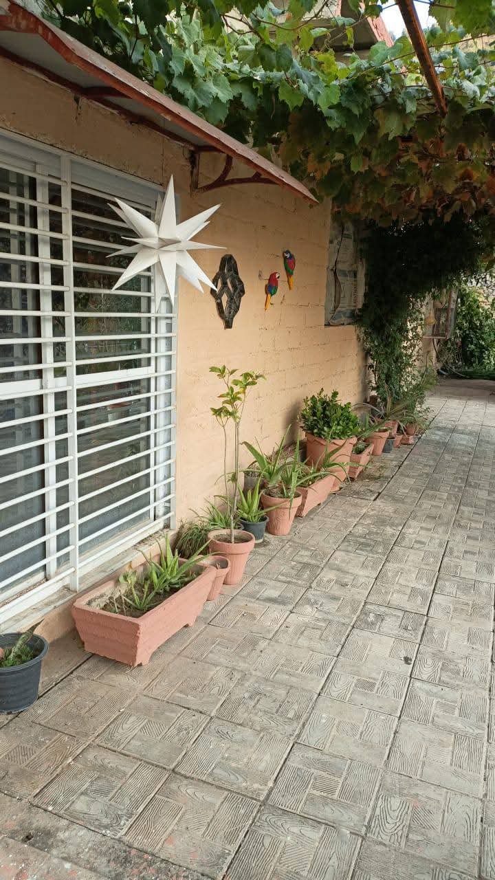 Terrace at YULSA Farm House with potted plants and vines